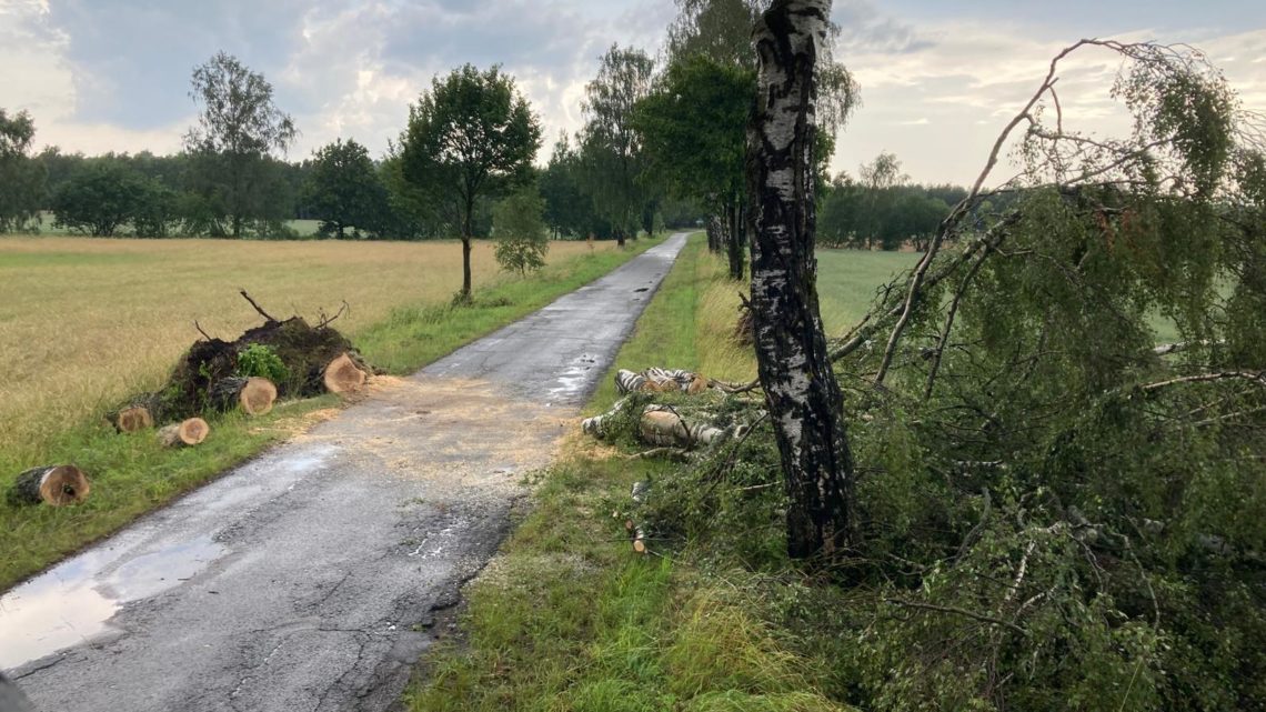 Pożar trawy i powalone drzewa